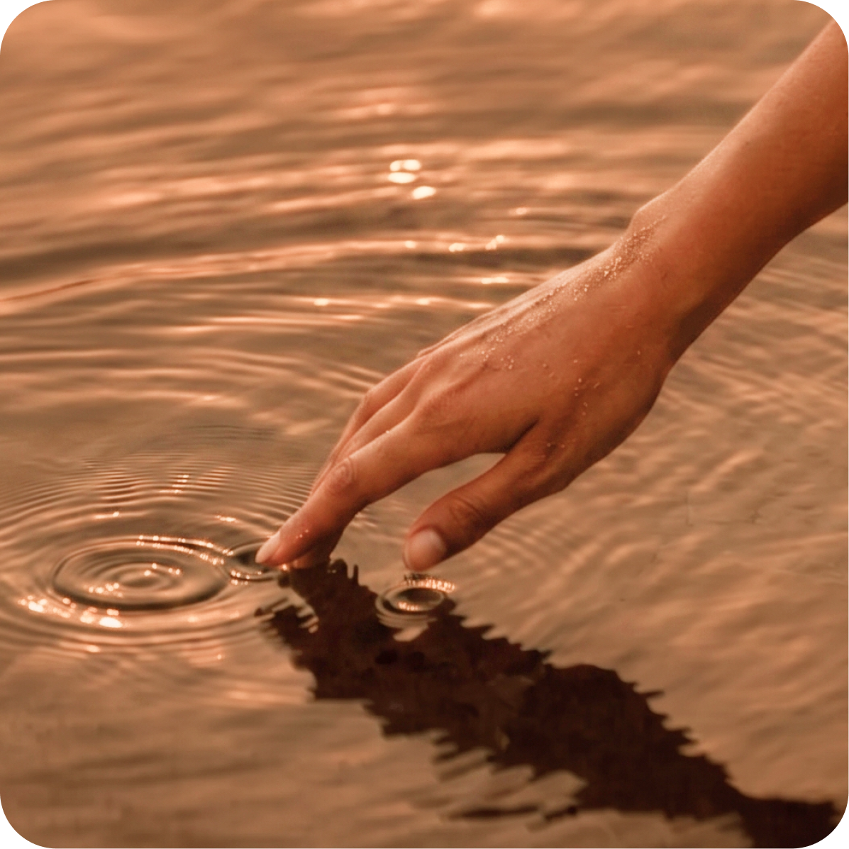Purification & Renewal